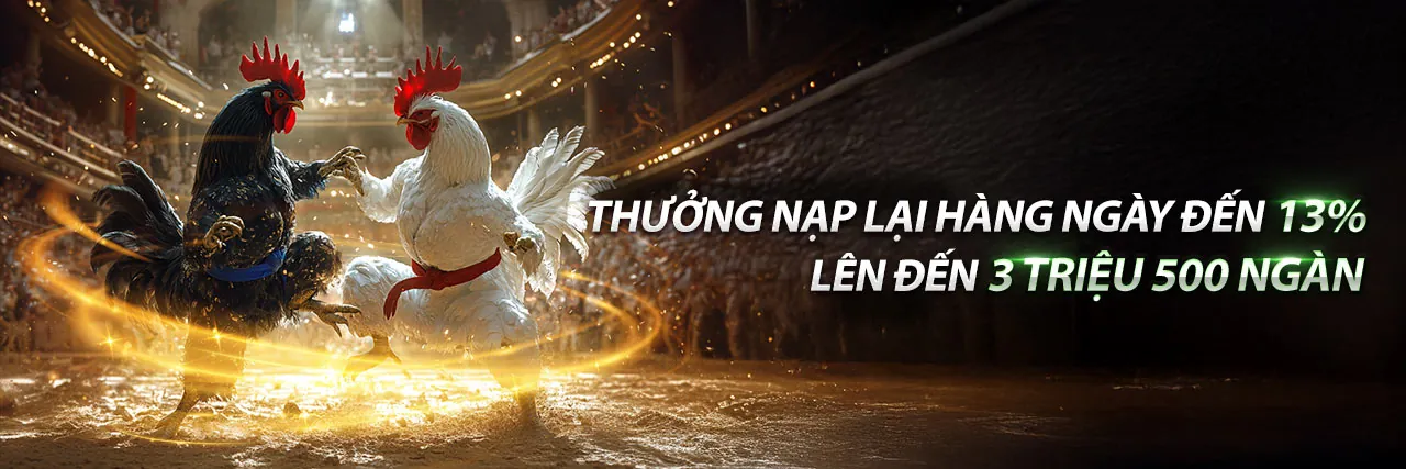 Sân đấu đá gà cựa dao Philippines 2017